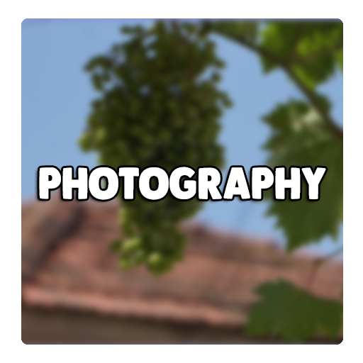 img-photography